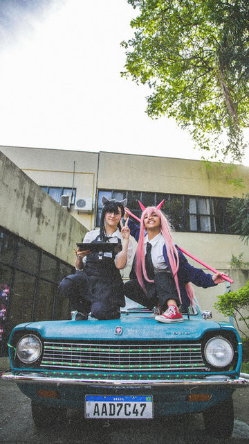Shinobis Experience