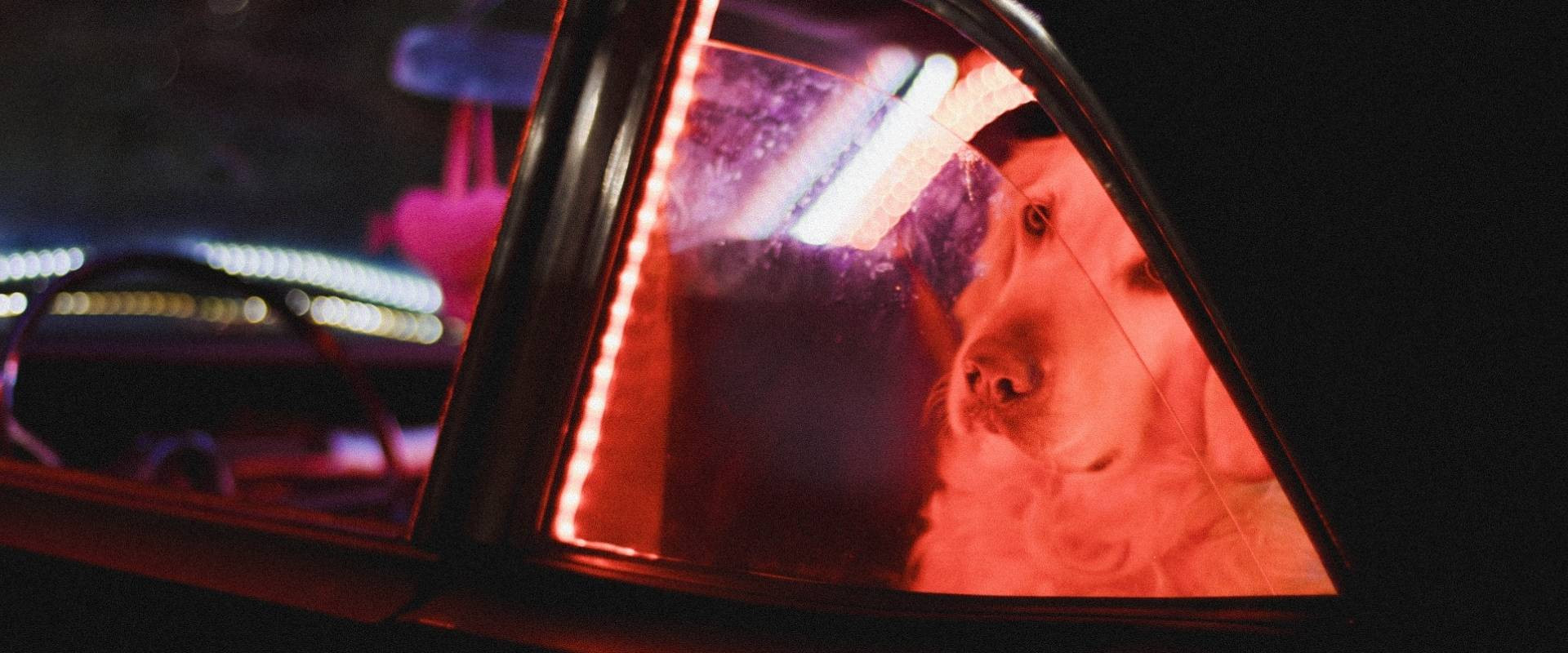Escena de la película Coração de Neon 22